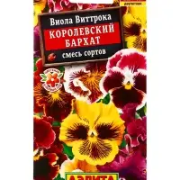 Семена цветов Виола Королевский бархат, смесь сортов Дв, Ц/П,20 шт. Семена цветов Виола Королевский бархат, смесь сортов Дв, Ц/П,20 шт.