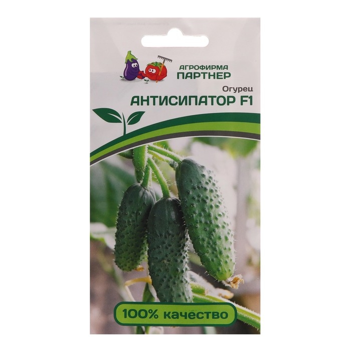 Семена огурец партенокарпический Семена огурец партенокарпический "Антисипатор" F1, 5 шт.