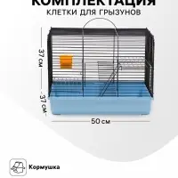 Клетка для грызунов &laquo;Сеня 2&raquo;, 50&times;37&times;37 см, цвет МИКС