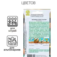 Семена Овсяница сизая Лазурит Мн Золотая серия Ц/П 5шт Семена Овсяница сизая Лазурит Мн Золотая серия Ц/П 5шт
