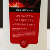 Подарочный набор косметики «Запас мужика», гель для душа 250 мл, шампунь для волос 250 мл, носки, HARD LINE