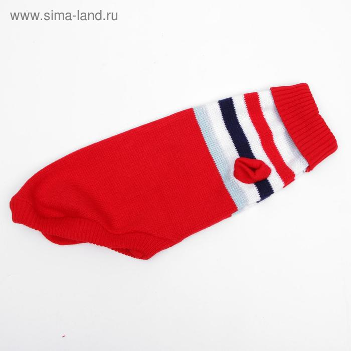 Свитер, размер 14 (ДС 40-55, ОШ 20-35, ОГ 36-51 см), микс расцветок Свитер, размер 14 (ДС 40-55, ОШ 20-35, ОГ 36-51 см), микс расцветок