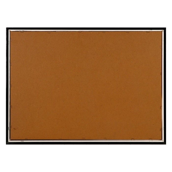 Картина  Картина "Пара лошадей" 56х76см рамка МИКС