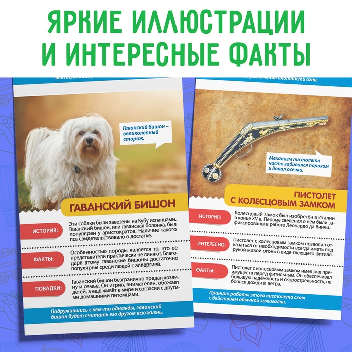 Мини-энциклопедии набор «Для мальчиков», 8 шт. Мини-энциклопедии набор «Для мальчиков», 8 шт.