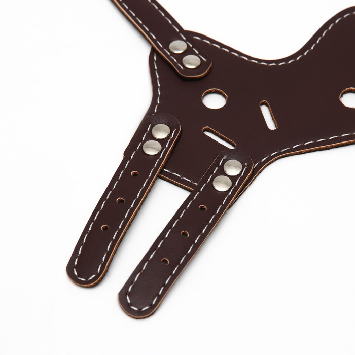 Намордник из прессованной кожи регулируемый, №2, ДН 5 см, ОМ 15-22 см, коричневый Намордник из прессованной кожи регулируемый, №2, ДН 5 см, ОМ 15-22 см, коричневый