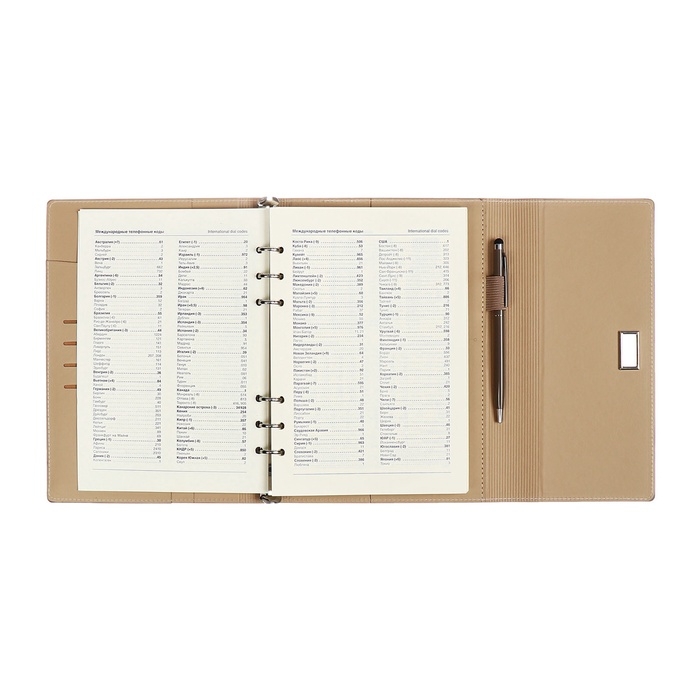 Органайзер на кольцах А5, 100л, линия, к/зам, с ручкой, в подар. короб., Серый Органайзер на кольцах А5, 100л, линия, к/зам, с ручкой, в подар. короб., Серый