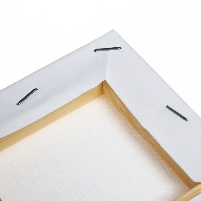 Холст на подрамнике хлопок 100% акрил грунт 1,0*10*10 см, м/з 280 г/м2 Холст на подрамнике хлопок 100% акрил грунт 1,0*10*10 см, м/з 280 г/м2