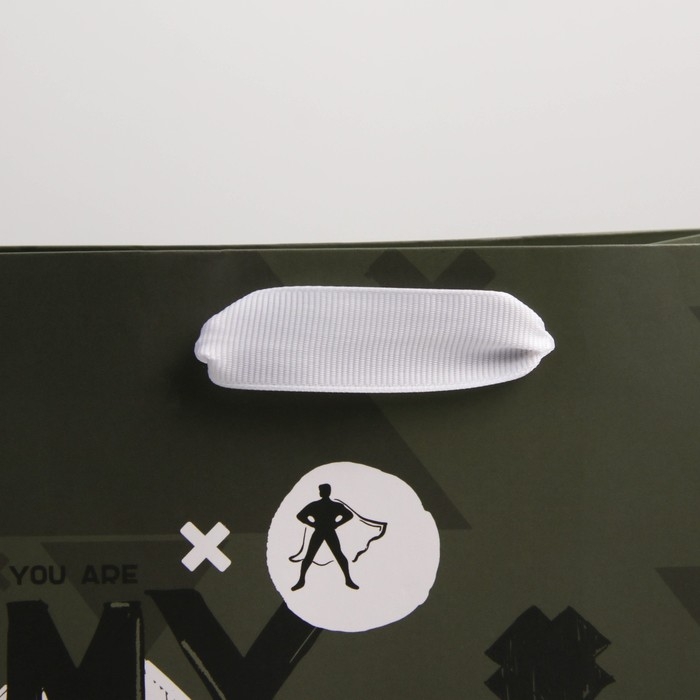 Пакет подарочный ламинированный вертикальный, упаковка, «Super Hero», MS 18 х 23 х 10 см Пакет подарочный ламинированный вертикальный, упаковка, «Super Hero», MS 18 х 23 х 10 см