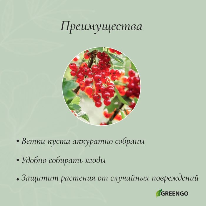 Кустодержатель, d = 40 см, h = 60 см, ножка d = 0.3 см, металл, набор 2 шт., зелёный, Greengo Кустодержатель, d = 40 см, h = 60 см, ножка d = 0.3 см, металл, набор 2 шт., зелёный, Greengo