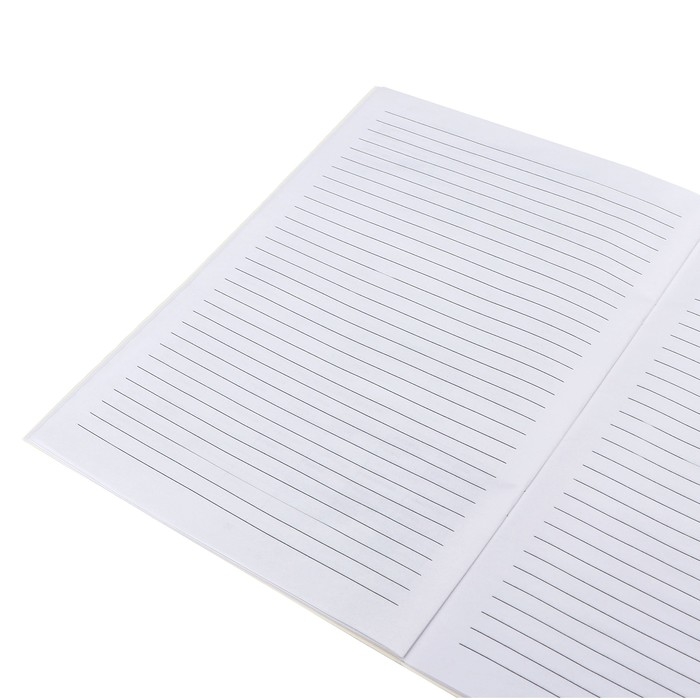 Медицинская карта ребёнка А4 Медицинская карта ребёнка А4 "Классика", форма № 026/у-2000, 16 листов