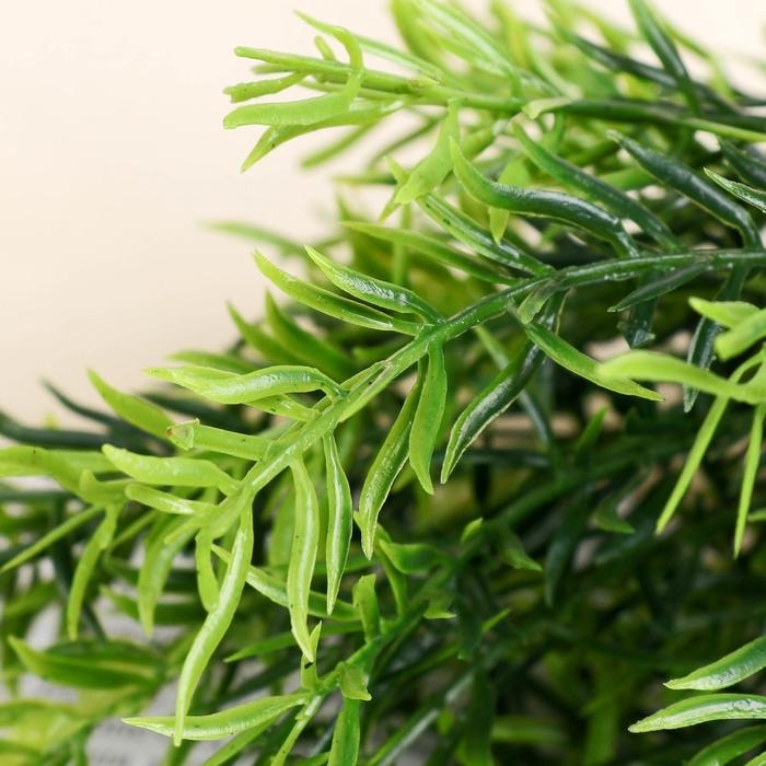 Букет Букет "Трава декоративная" 30 см