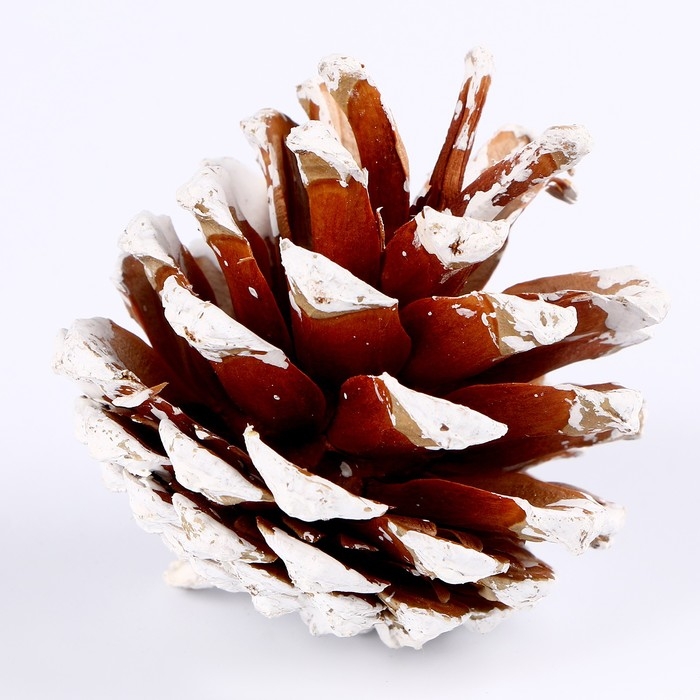 Новый год! Декоративное украшение «Набор шишек» 6 шт., 17 × 11 × 6 см Новый год! Декоративное украшение «Набор шишек» 6 шт., 17 × 11 × 6 см