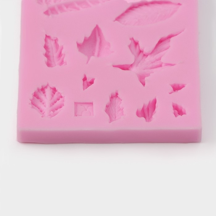 Молд Доляна «Гербарий», силикон, 8×5×0,8 см, цвет МИКС Молд Доляна «Гербарий», силикон, 8×5×0,8 см, цвет МИКС