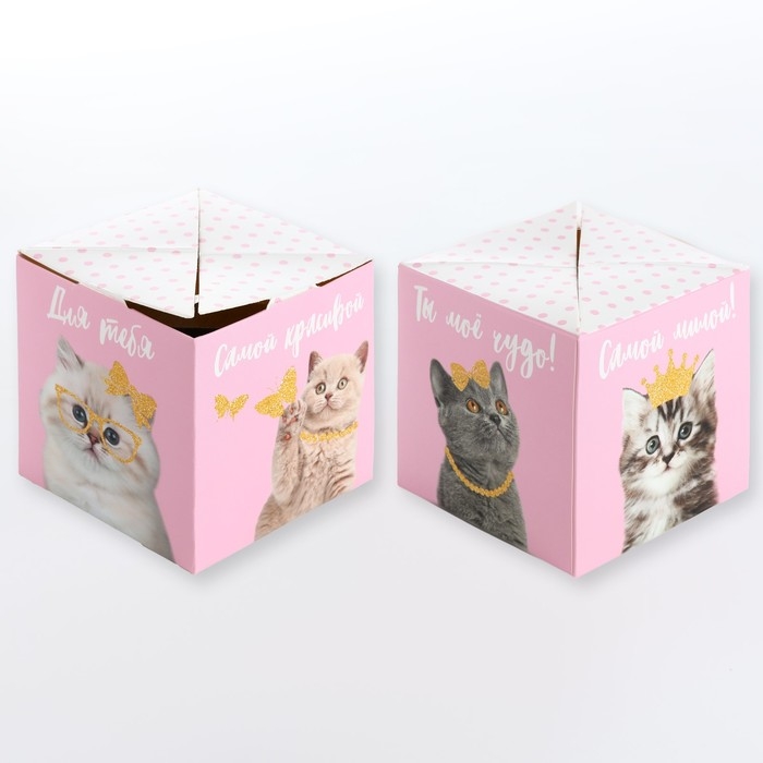 Бум-открытка «Твой подарочек», шары , 12 х 18.5 см Бум-открытка «Твой подарочек», шары , 12 х 18.5 см