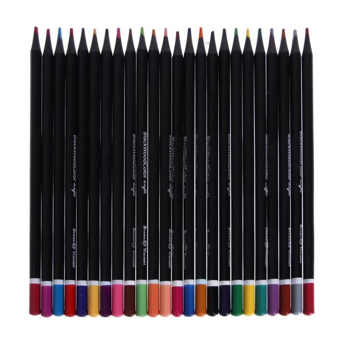 Карандаши 24 цвета BlackWoodColor, пластиковые, трёхгранные, МИКС Карандаши 24 цвета BlackWoodColor, пластиковые, трёхгранные, МИКС