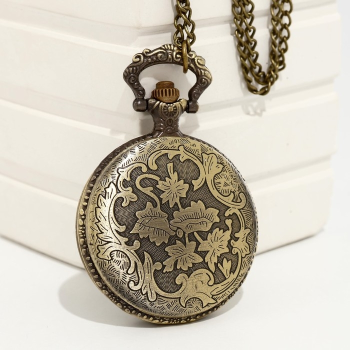 Часы карманные Часы карманные "Компас", кварцевые, d циферблата-4.7 см, цепочка l-80 см