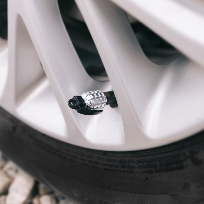 Колпачок на вентиль TORSO граната, хром, набор 4 шт Колпачок на вентиль TORSO граната, хром, набор 4 шт