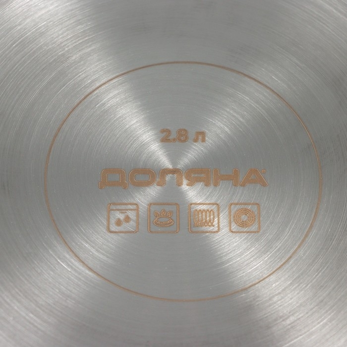 Кастрюля из нержавеющей стали «Грейт», 2,8 л, капсульное дно, индукция Кастрюля из нержавеющей стали «Грейт», 2,8 л, капсульное дно, индукция