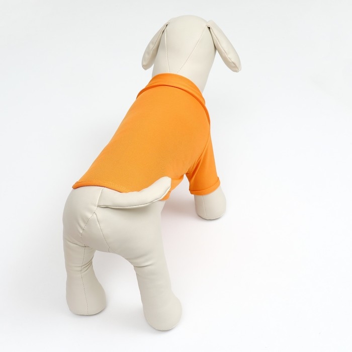 Футболка-поло для животных, S (ДС 25, ОГ 35, ОШ 24 см), оранжевая Футболка-поло для животных, S (ДС 25, ОГ 35, ОШ 24 см), оранжевая