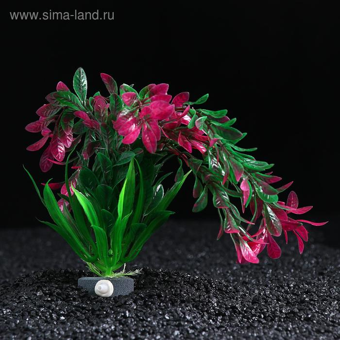 Растение искусственное Растение искусственное