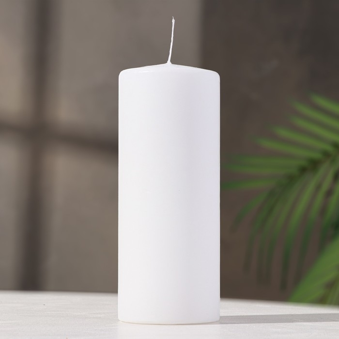 Свеча - цилиндр, 8х20 см, 90 ч, 795 г, белая Свеча - цилиндр, 8х20 см, 90 ч, 795 г, белая
