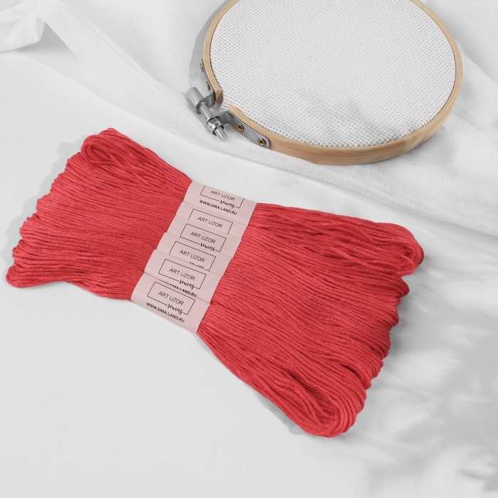 Набор ниток мулине №3801, 8 ± 1 м, 6 шт, цвет глубокий красный Набор ниток мулине №3801, 8 ± 1 м, 6 шт, цвет глубокий красный