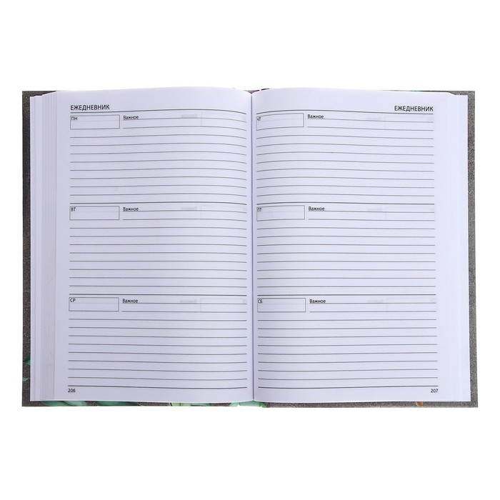 Ежедневник недатированный на сшивке А5 144 листа, картон 7БЦ  Ежедневник недатированный на сшивке А5 144 листа, картон 7БЦ "Лучшему учителю"