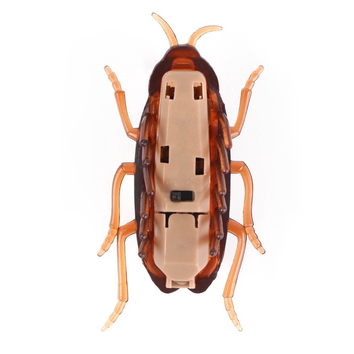 Интерактивная игрушка для кошек «Таракан» Интерактивная игрушка для кошек «Таракан»