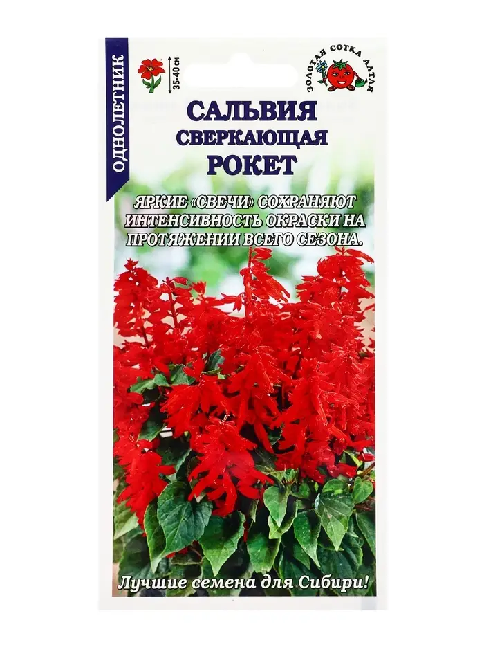 Семена Сальвия Рокет сверкающая красная /Сотка/ 0,1 г/*1500 Семена Сальвия Рокет сверкающая красная /Сотка/ 0,1 г/*1500