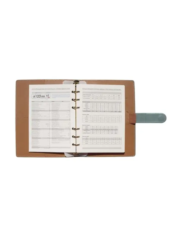 Органайзер на кольцах, C6, с хлястиком, 80л, линия, к/зам, Зеленый Органайзер на кольцах, C6, с хлястиком, 80л, линия, к/зам, Зеленый