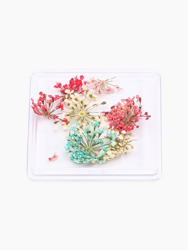 Сухоцветы для декора &laquo;Яркость&raquo;, в футляре, МИКС