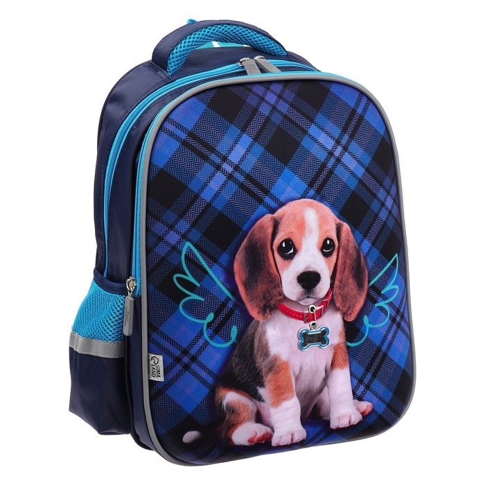 Рюкзак каркасный школьный, 39 х 30 х 14 см, Calligrata "Собачка"