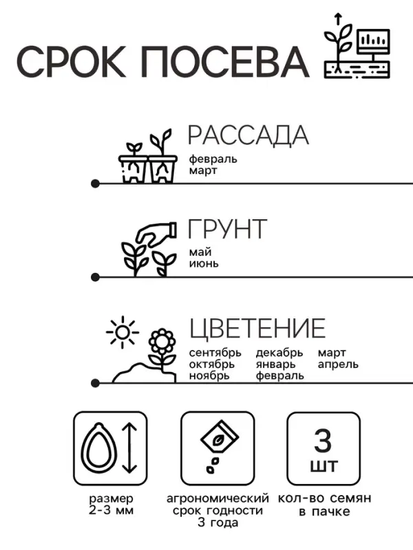 Семена комнатных цветов Цикламен &laquo;Аполлон&raquo;, 3 шт., &laquo;Семена Алтая&raquo;