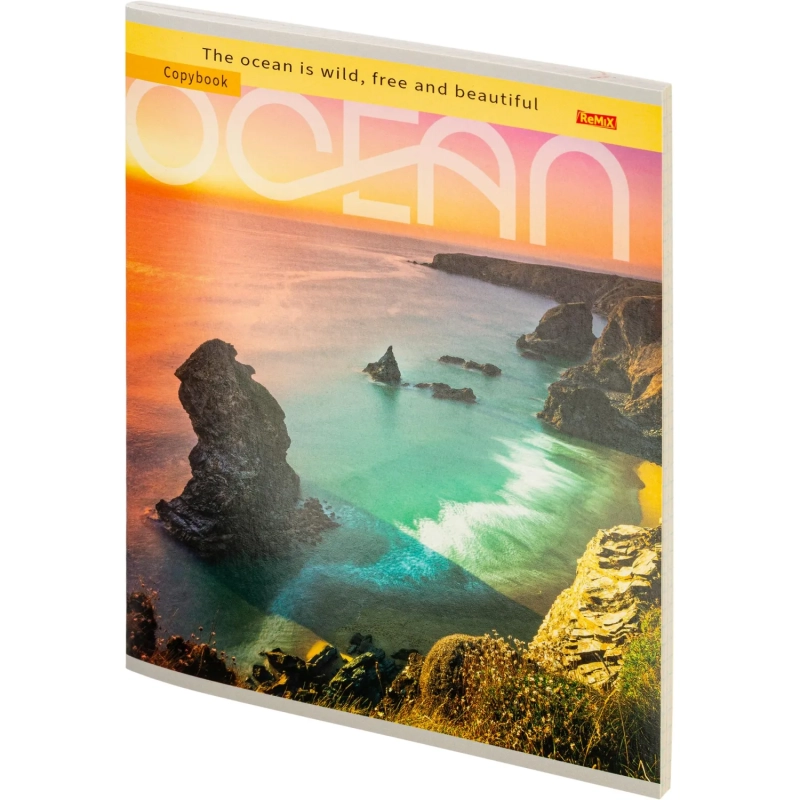 Тетрадь КЛЕТКА 48л.ПРИБРЕЖНЫЕ ВИДЫ 48-5049обл.цвет. мелов.,второй блок