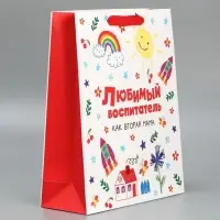 Набор пакетов "Любимый воспитатель", 3шт, M 30 &times; 26 &times; 9 см