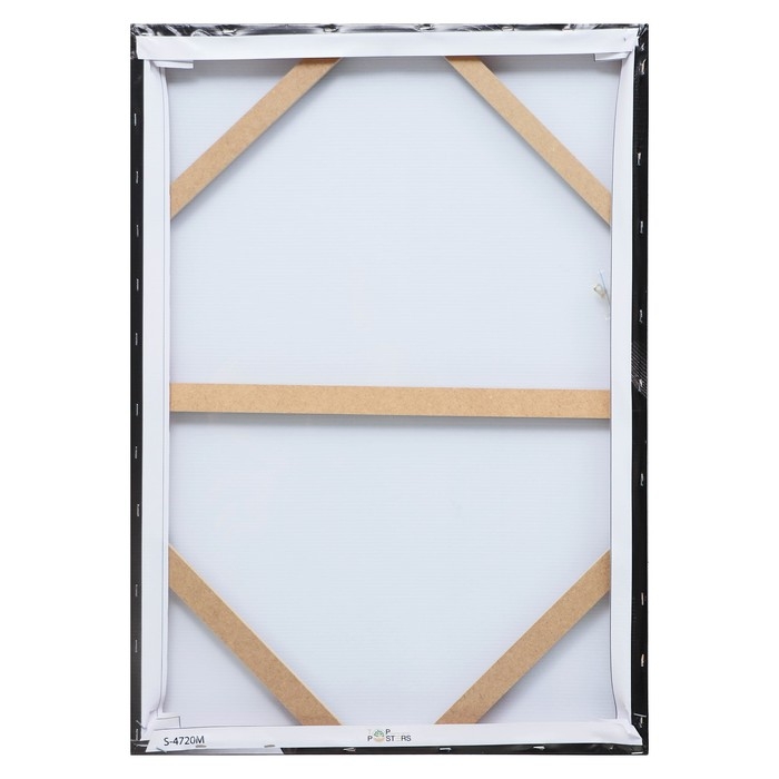 Картина- холст на подрамнике Картина- холст на подрамнике "Дама" 50*70см