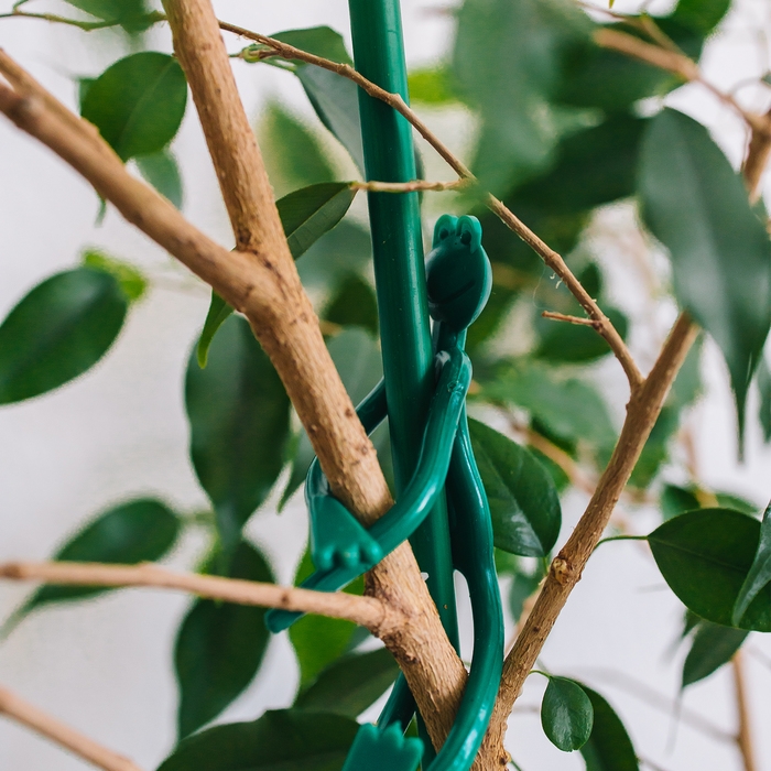 Подвязка для растений «Лягушка», набор 2 шт., зелёная, Greengo