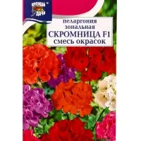 Семена цветов Пеларгония зональная &laquo;Скромница&raquo; F1, смесь 0.03 г