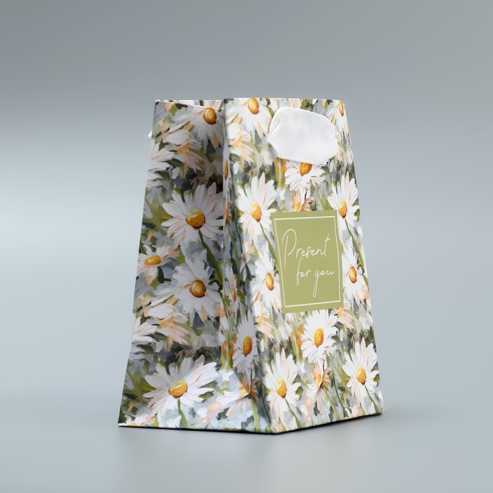 Пакет подарочный ламинированный, упаковка, Present, 9 х 12 х 6.5 см Пакет подарочный ламинированный, упаковка, Present, 9 х 12 х 6.5 см