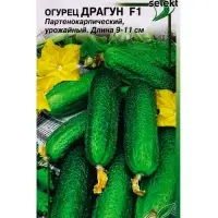 Семена огурца "Драгун", F1, 10 шт.