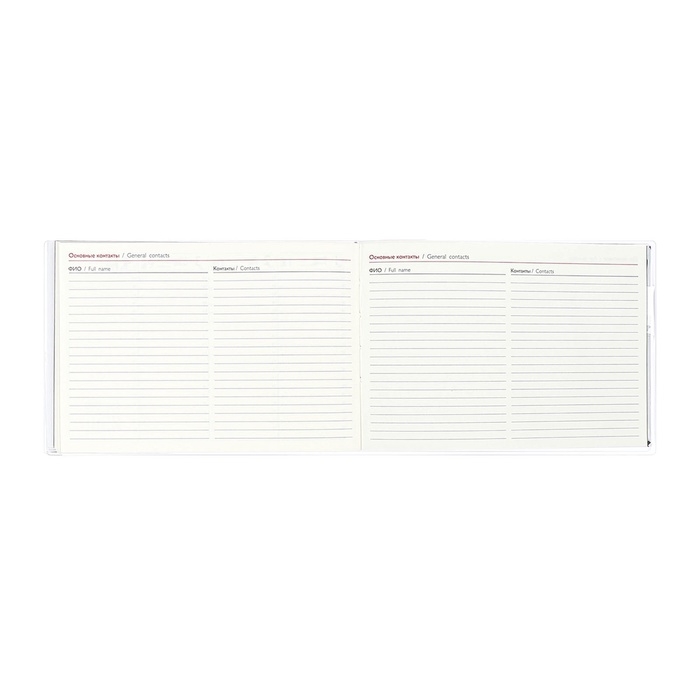 Еженедельник датированный 2025 год, ESCALADA  Еженедельник датированный 2025 год, ESCALADA "змея металлик", мягкая обложка ПВХ, 64 листа, блок 70 г/м², 180 х 127мм