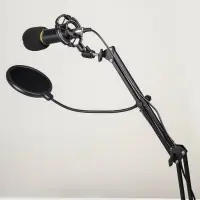 Микрофон конденсаторный Music Life золотой: кабель, ветрозащита, стойка