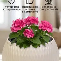 Кашпо для цветов &laquo;Жемчужина&raquo;, 4 л, d=29 см, h=19.5 см, пластик, со вставкой, бежевое