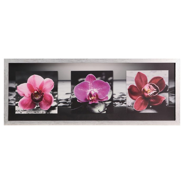 Картина  Картина "Тёмно-розовые орхидеи" 42х107 см рамка микс