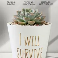 Кашпо для цветов &laquo;Я выживу&raquo;, 800 мл, d=12 см, h=11 см, пластиковое