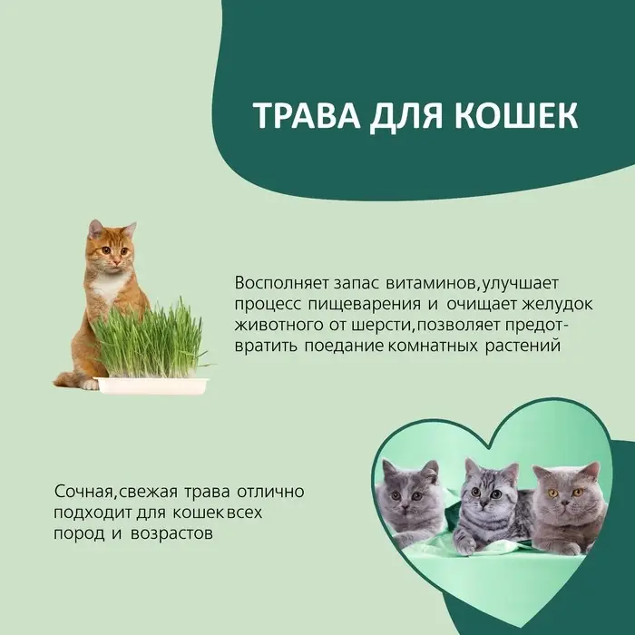 Трава TiTBiT для кошек, ячмень, 50 г Трава TiTBiT для кошек, ячмень, 50 г
