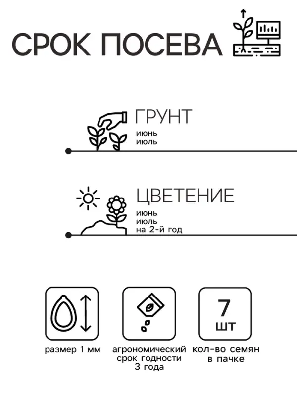 Семена Маргаритка "Бам-бам", ц/п,  7 шт.