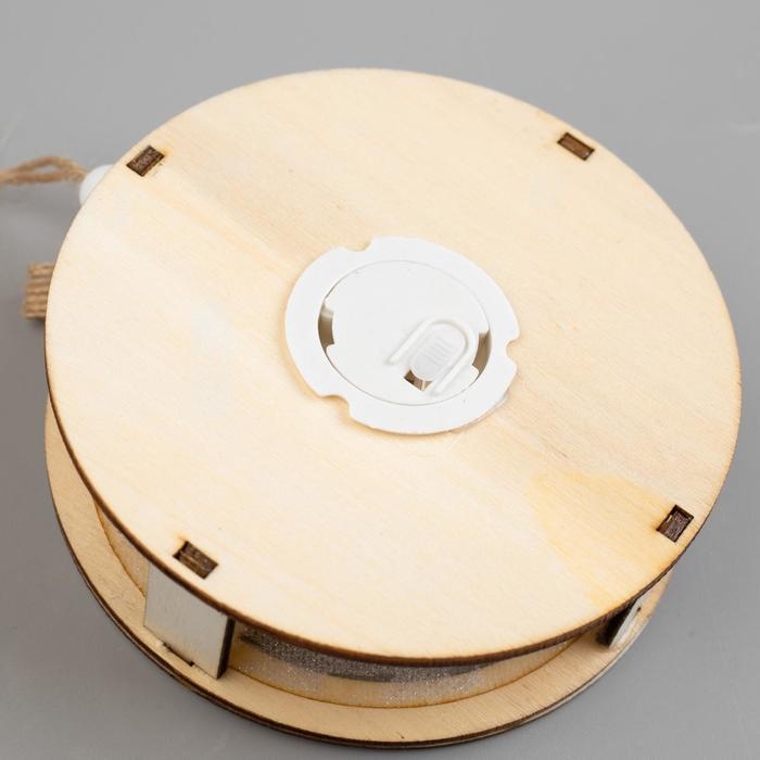 Ёлочная игрушка «Шар с веткой», от батареек, свечение тёплое белое Ёлочная игрушка «Шар с веткой», от батареек, свечение тёплое белое