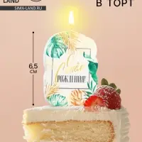 Свеча для торта «С Днём Рождения», 5×8.5 см Свеча для торта «С Днём Рождения», 5×8.5 см