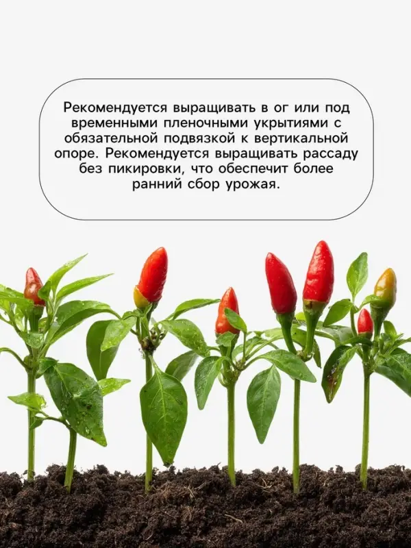 Семена Перец &laquo;Джипси&raquo;, F1, 7 шт., &laquo;Агросс&raquo;